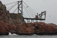 1223-Isole Ballestas,19 luglio 2013